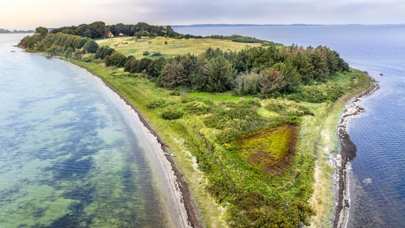 Vigø Island, Det Sydfynske Øhav