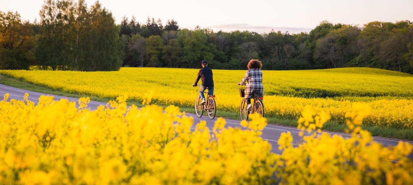 Cycling in Fjordlandet, Denmark