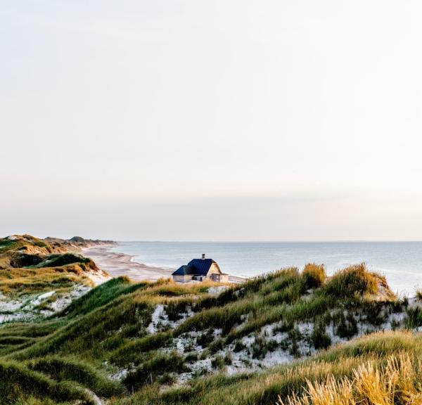 Gammel Skagen Strand