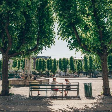 Frederiksberg Allé in Copenhagen